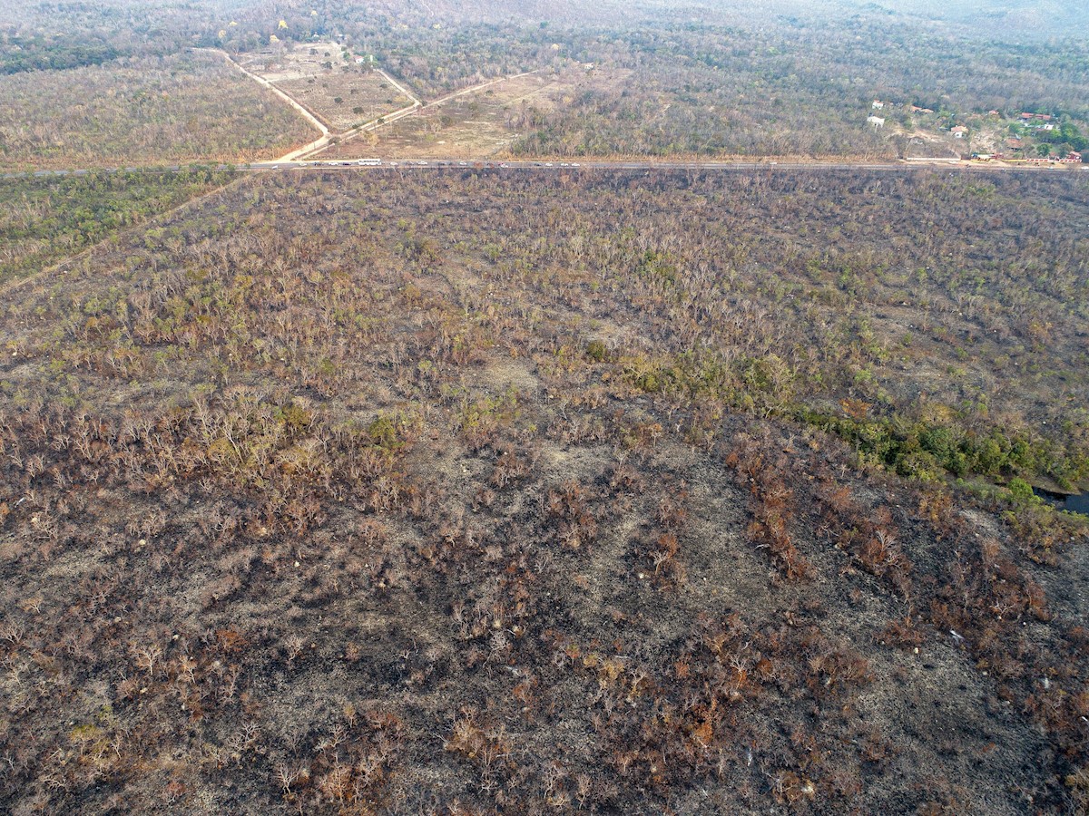 Resultado de imagen para Bolsonaro reitera que las ONG son las "mayores sospechosas" por los incendios en la AmazonÃ­a