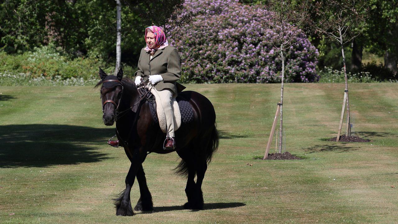 Isabel II monta a caballo en su primera salida desde el confinamiento